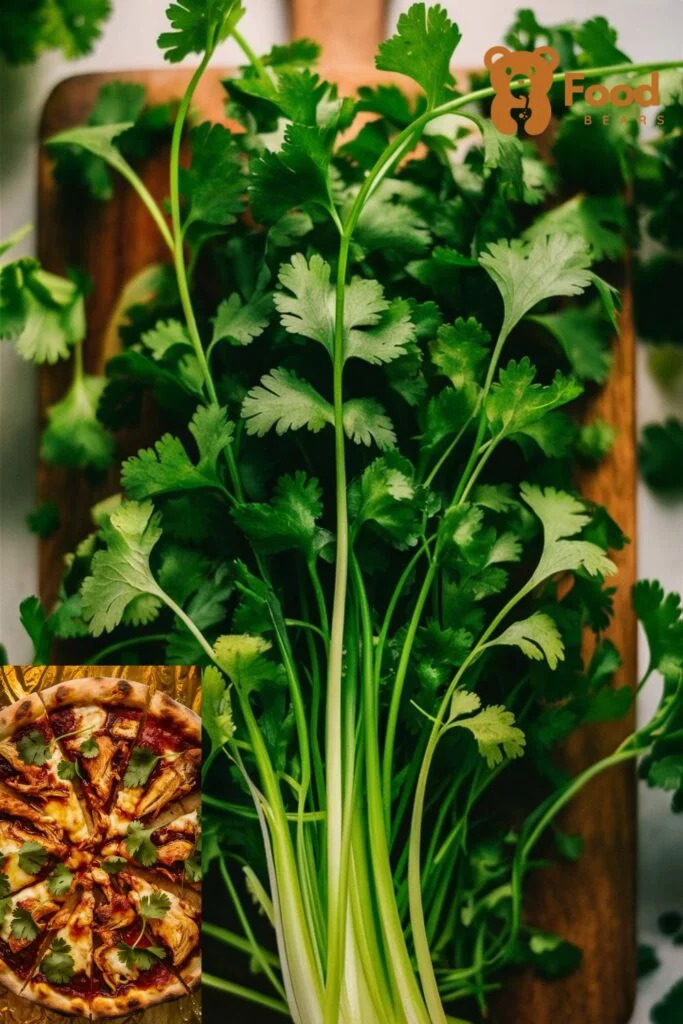 BBQ Chicken Pizza Ingredients - Fresh Cilantro