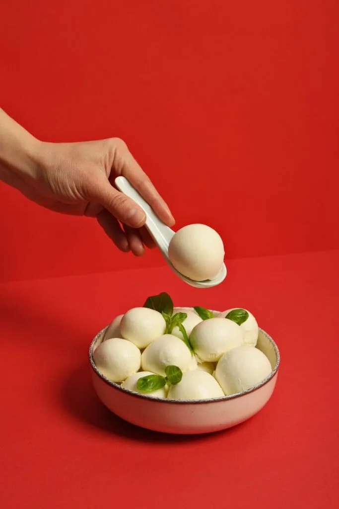 Choosing the Right Mozzarella