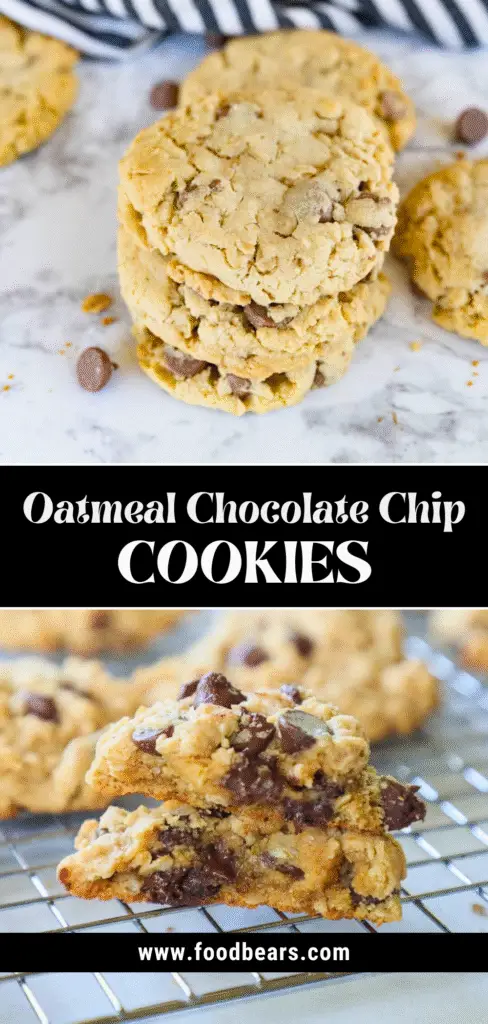 Quick Oatmeal Chocolate Chip Cookies for Women