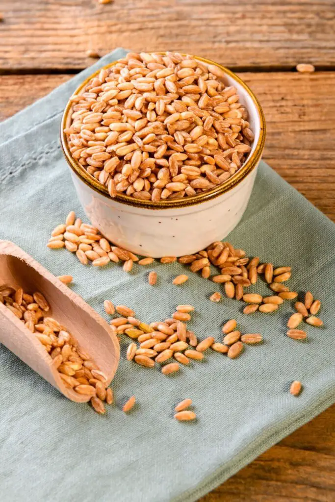 What Is Farro