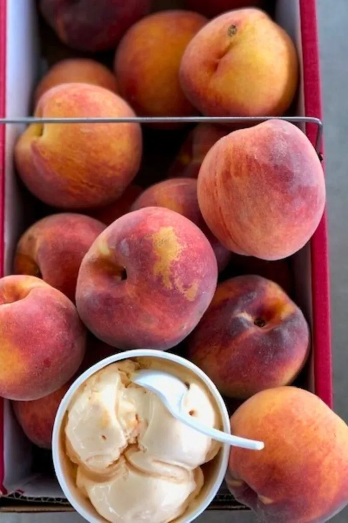 What You'll Need for Peach Ice Cream