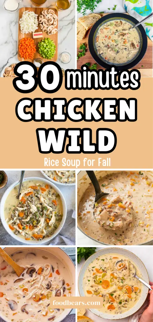 30 Minute Chicken Wild Rice Soup for Fall