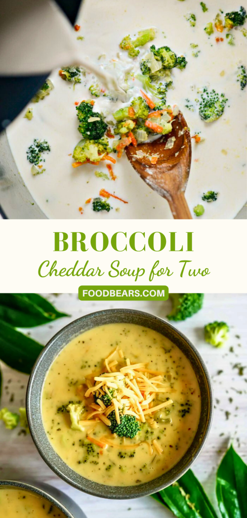 Broccoli Cheddar Soup for Two in 15 Minutes