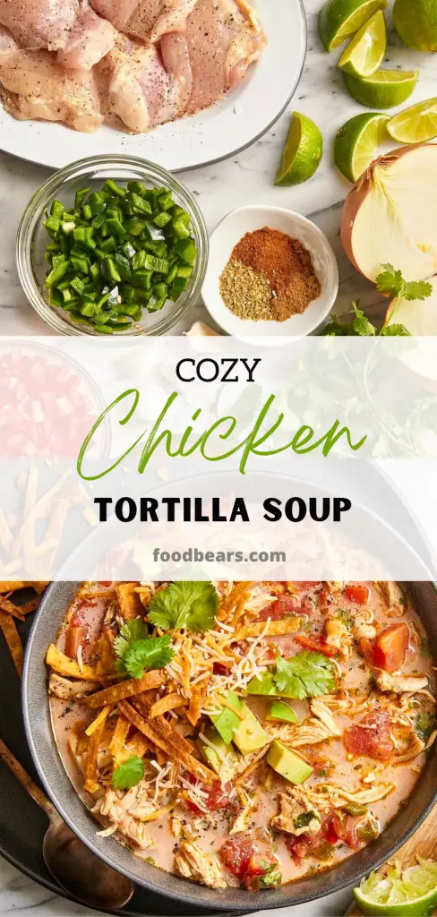 Cozy Chicken Tortilla Soup in Just 30 Minutes