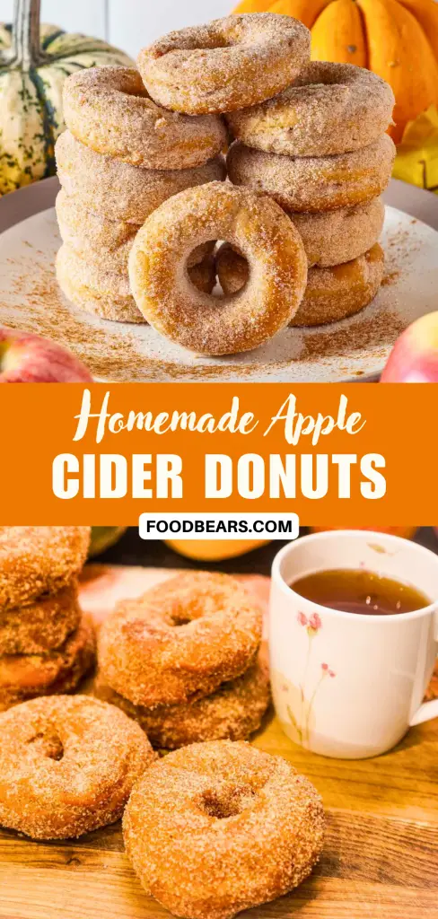 Homemade Apple Cider Donuts for Brunch