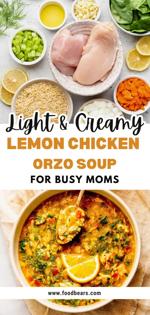 Light & Creamy Lemon Chicken Orzo Soup