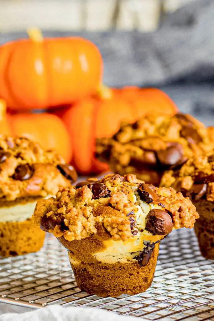 Pumpkin Chocolate Chip Muffins Variations to Try
