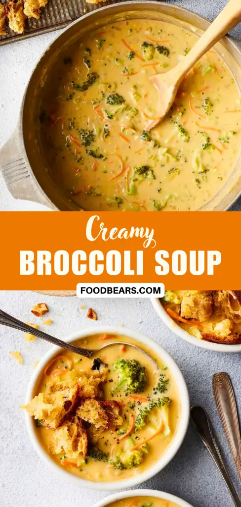 Creamy Broccoli Soup Recipe for Millennials