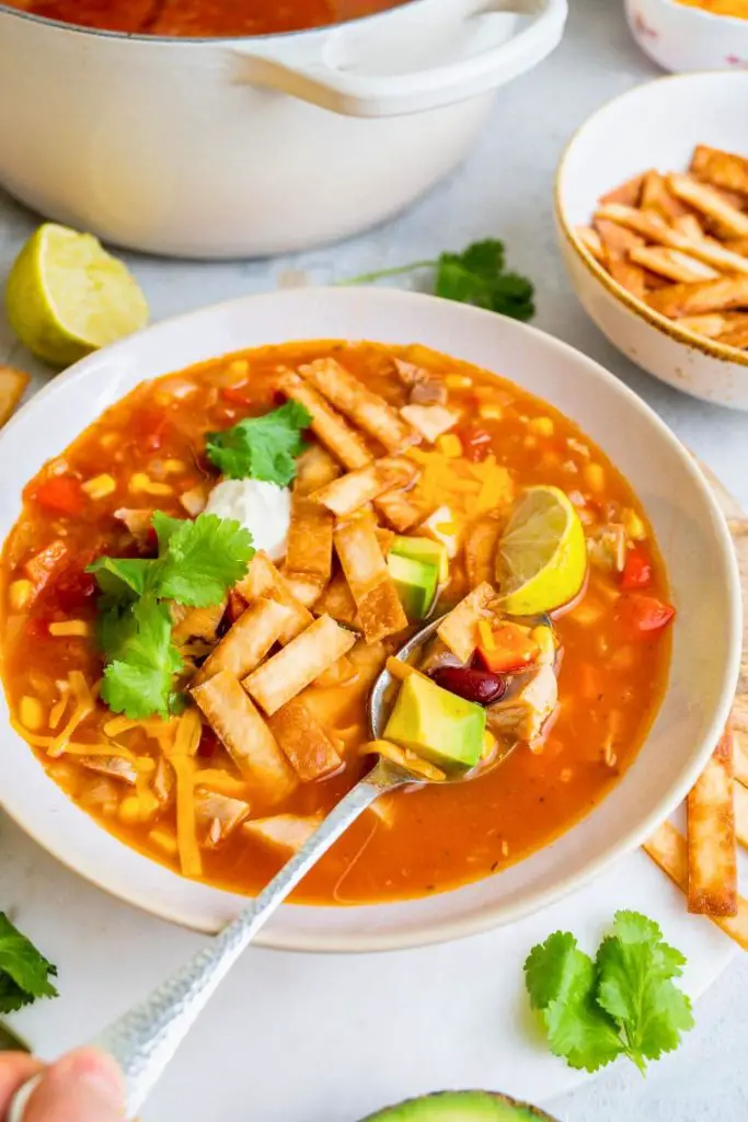 Pro Tips for the Best Turkey Soup